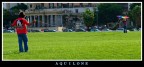 aquilone aquilone
