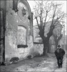 Passeggiata invernale Passeggiata invernale