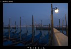 VENEZIA 2008 VENEZIA 2008