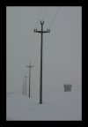 nella nebbia...