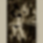 THE ROCKSTAR THE ROCKSTAR