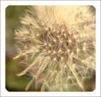 Make me fly Make me fly