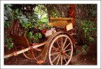 vecchia carrozza