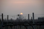 Tramonto sulla vigna Tramonto sulla vigna