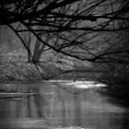 Echi della natura Echi della natura