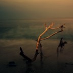 Senza Titolo Senza Titolo