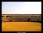 Plaza de Toros - Siviglia Plaza de Toros - Siviglia