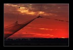 Profondo rosso... Profondo rosso...