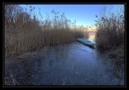 riposo invernale
