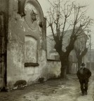 Passeggiata Invernale Passeggiata Invernale