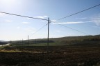 Paesaggio sienese Paesaggio sienese