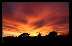 SILHOUETTE 2 SILHOUETTE 2