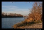 Foce dell'Isonzo Foce dell'Isonzo