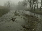 Un tuffo nella nebbia Un tuffo nella nebbia