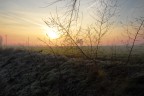 Alba Invernale 2