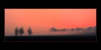 Alba con nebbia ... di fuoco Alba con nebbia ... di fuoco