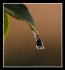 Magica Goccia Magica Goccia