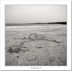 In agguato !!! In agguato !!!