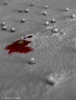 Campo minato (uomo contro uomo) Campo minato (uomo contro uomo)