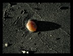 Ombre sulla Luna - C'è Vita nello Spazio Ombre sulla Luna - C'è Vita nello Spazio
