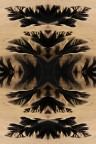 Sottotitolo: Come la Macchie di Rorschach.