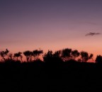 tutti insieme tutti insieme