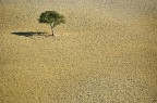 ..solitario sulla via di Pienza..