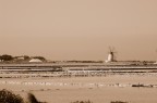le saline di Mothia un secolo fa le saline di Mothia un secolo fa