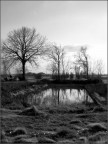 Stagno Stagno