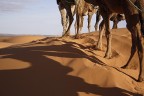sempre deserto marocchino ...... scattata dal cammello

critiche e commenti sempre graditi