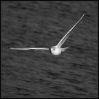 pochi minuti dopo le 9 pochi minuti dopo le 9