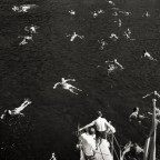 aspetta un attimo... aspetta un attimo...