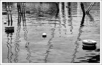 Grafismi acquatici Grafismi acquatici