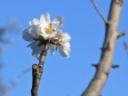 Il tocco di Primavera Il tocco di Primavera