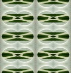 Sottotitolo: Giardini all'italiana.

E' il frutto della combinazione di 32 elementi dello scatto di partenza. Per goderne visivamente nella maniera giusta bisognerebbe vederla nel formato pi grande e senza ridimensionamento, ma insomma accettatela cos...