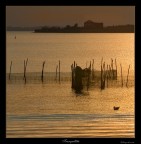 Tranquillità Tranquillità