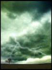 Winter Lightning Winter Lightning