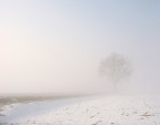 Inverno Inverno