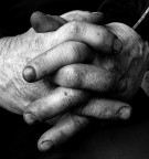 mangiate dal lavoro mangiate dal lavoro