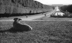 Il Guardiano Il Guardiano