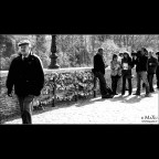 L'indifferente L'indifferente