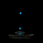 Black Swamp Black Swamp