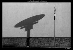 mio fratello, quello col testone mio fratello, quello col testone