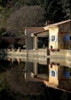 riflessi riflessi