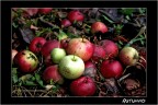 Autunno Autunno