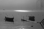 lago lago