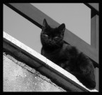 Riposando al sole Riposando al sole