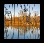 Ho imprigionato la natura Ho imprigionato la natura