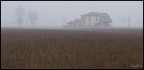 Il Podere