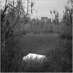 La finestra La finestra